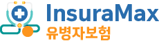 유병자보험비교사이트 InsuraMax